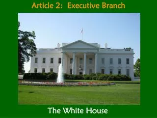 Article 2: Executive Branch