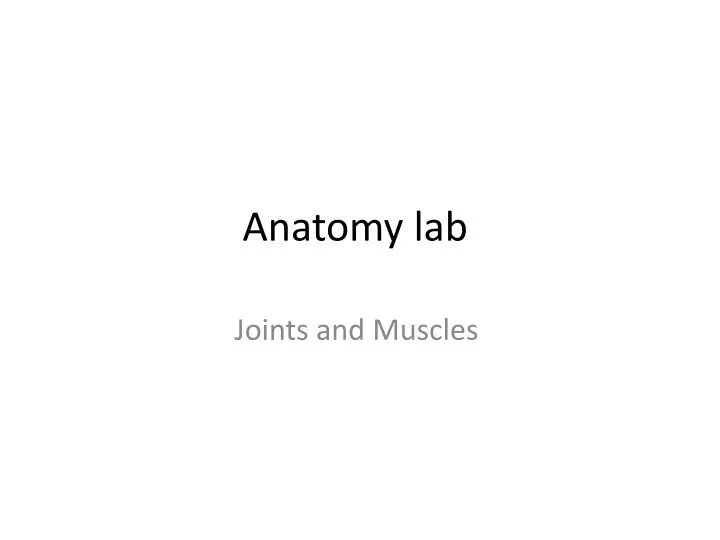 anatomy lab