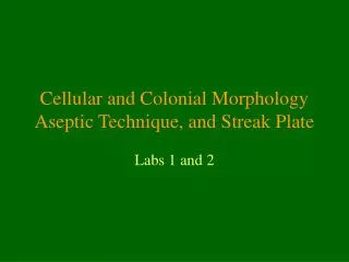 Cellular and Colonial Morphology Aseptic Technique, and Streak Plate