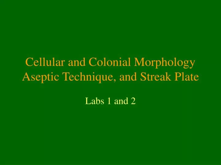 cellular and colonial morphology aseptic technique and streak plate