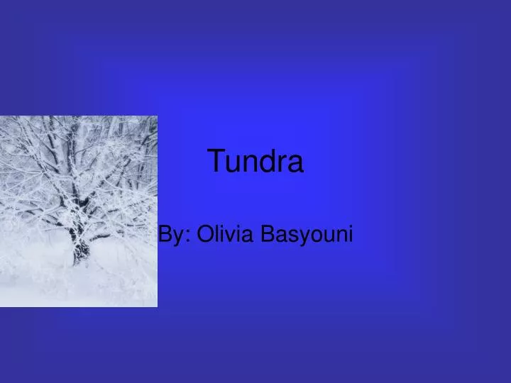 tundra