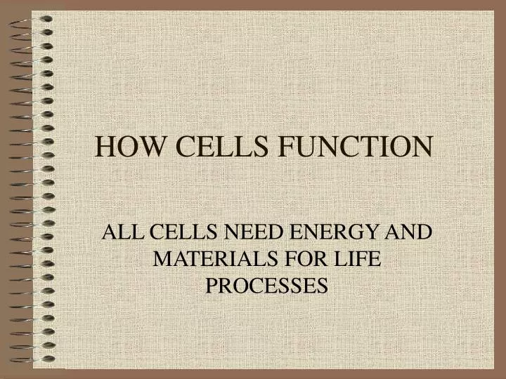 how cells function