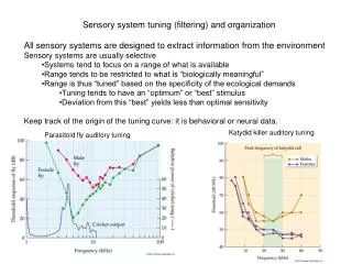 Sensory system tuning (filtering) and organization