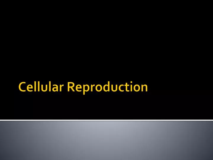 cellular reproduction