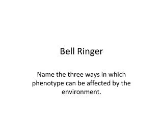 Bell Ringer