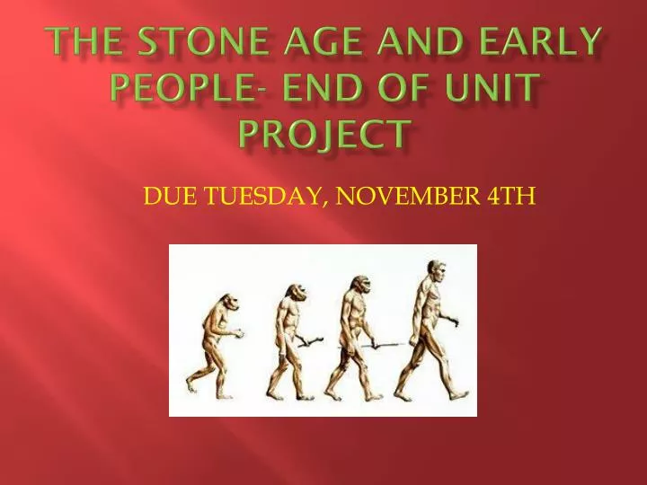the stone age and early people end of unit project