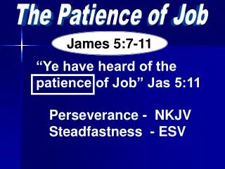 The Patience of Job