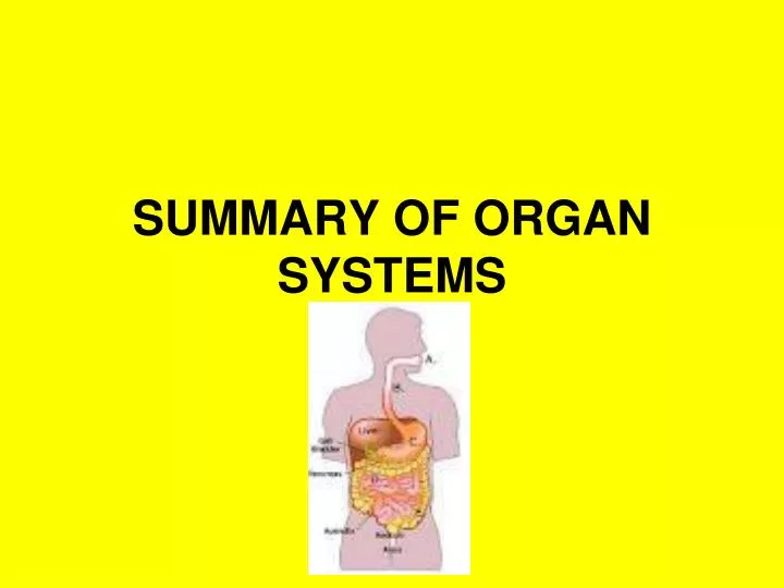 summary of organ systems