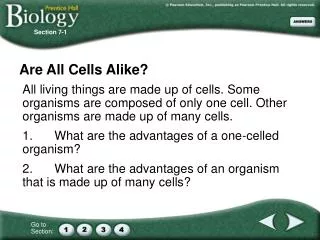 Are All Cells Alike?