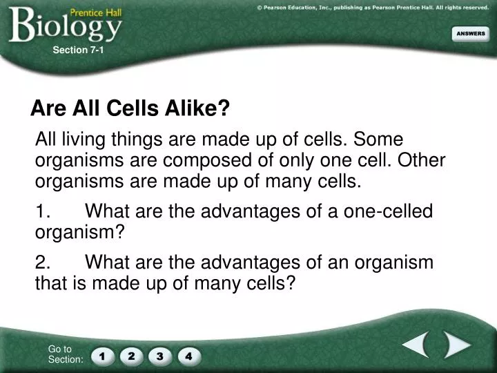 are all cells alike