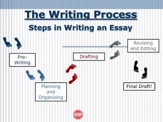 The Writing Process