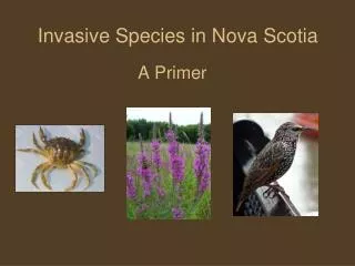 Invasive Species in Nova Scotia