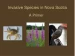Invasive Species in Nova Scotia - slide 1