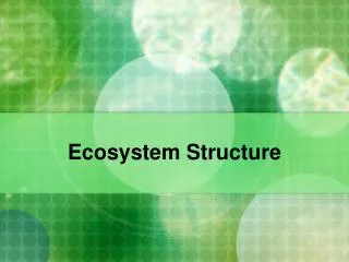 Ecosystem Structure