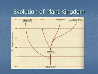 Evolution of Plant Kingdom