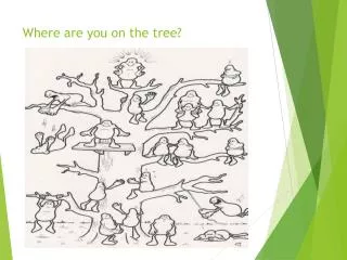 Where are you on the tree?