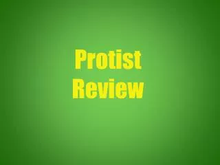 Protist Review