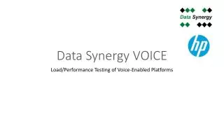 Data Synergy VOICE