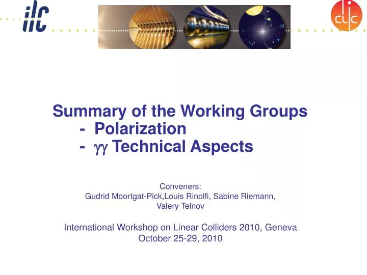 summary of the working groups polarization gg technical aspects