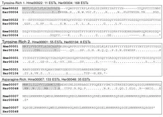 Tyrosine-Rich 1. Hme00022: 11 ESTs, Her00004: 168 ESTs