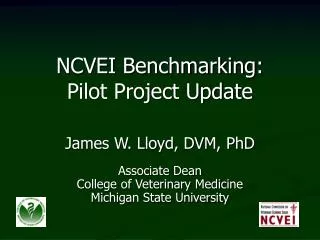 NCVEI Benchmarking: Pilot Project Update