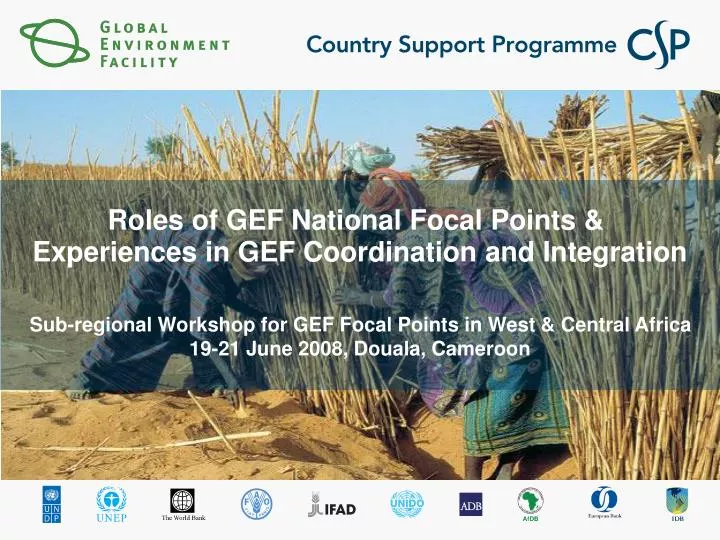 roles of gef national focal points experiences in gef coordination and integration