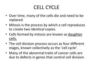 CELL CYCLE