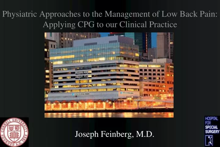 physiatric approaches to the management of low back pain applying cpg to our clinical practice