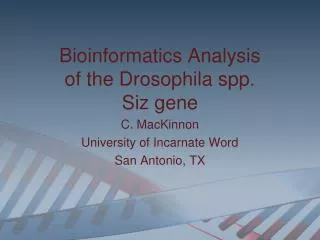 Bioinformatics Analysis of the Drosophila spp. Siz gene C. MacKinnon