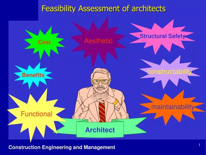 feasibility assessment of architects