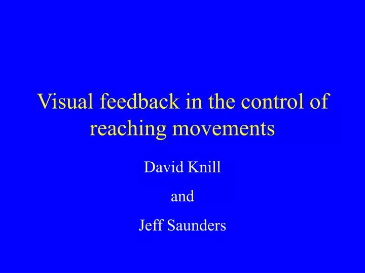 visual feedback in the control of reaching movements