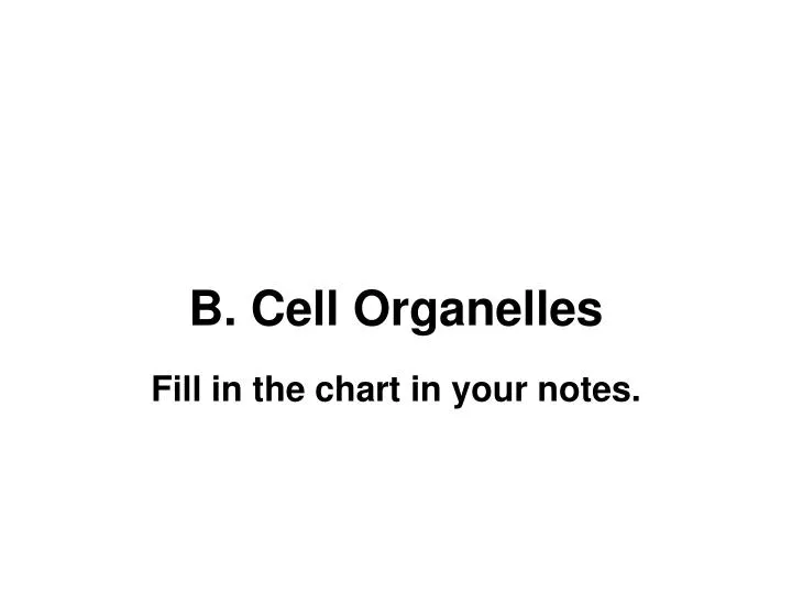 b cell organelles
