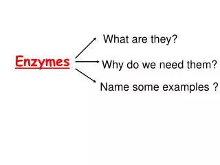 Enzymes