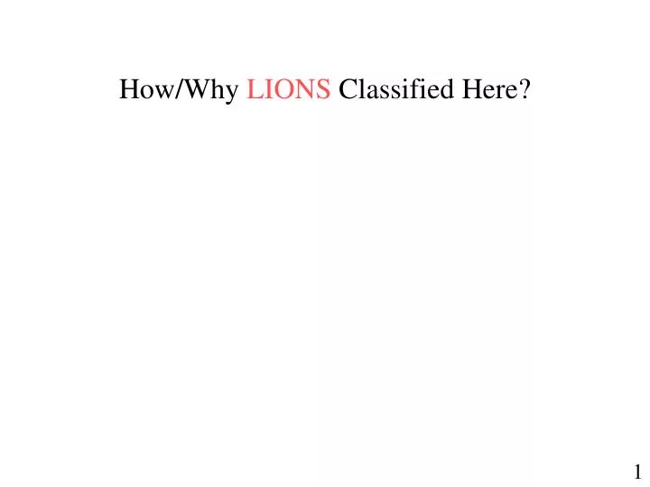 how why lions classified here