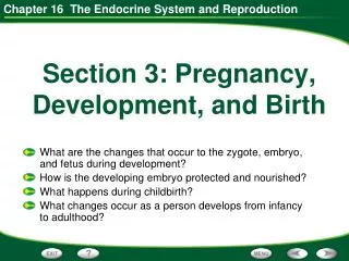 Section 3: Pregnancy, Development, and Birth