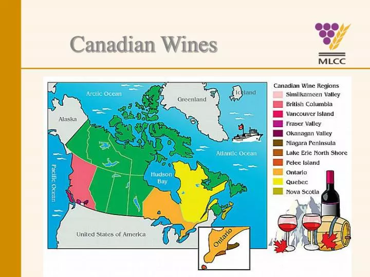 canadian wines