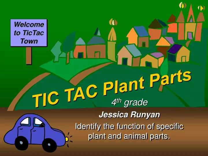 tic tac plant parts