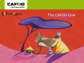 The CAFOD Cow