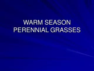 WARM SEASON PERENNIAL GRASSES