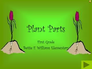 Plant Parts