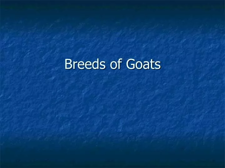 breeds of goats