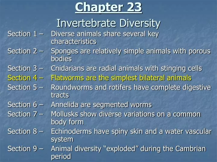 chapter 23 invertebrate diversity