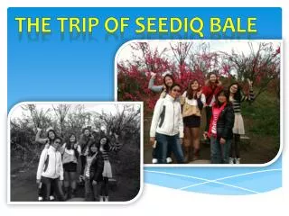 The trip of Seediq Bale