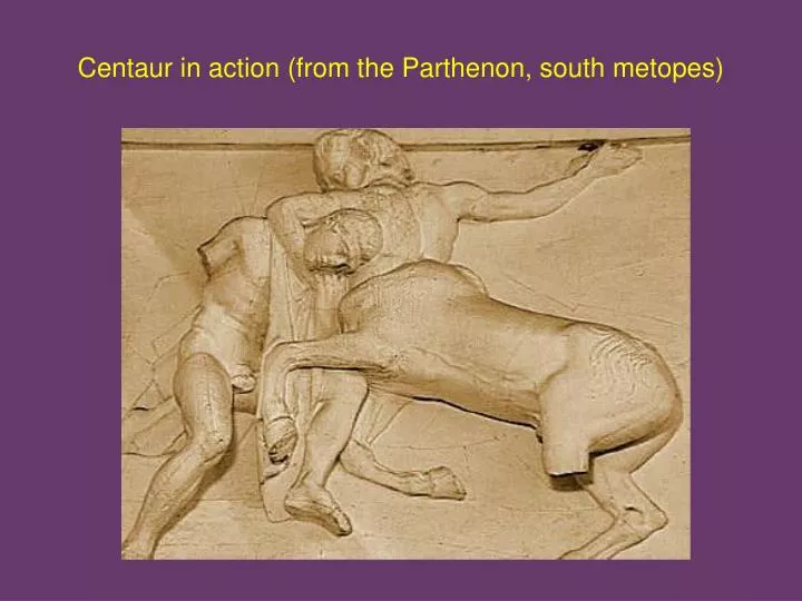 centaur in action from the parthenon south metopes