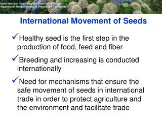 International Movement of Seeds