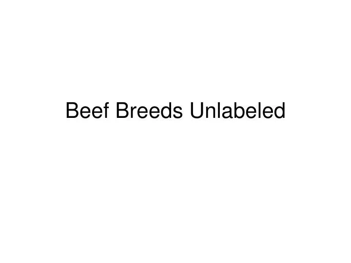 beef breeds unlabeled