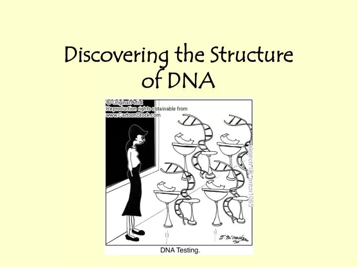 discovering the structure of dna