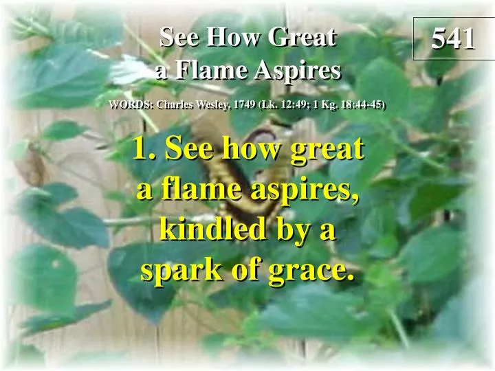 see how great a flame aspires verse 1