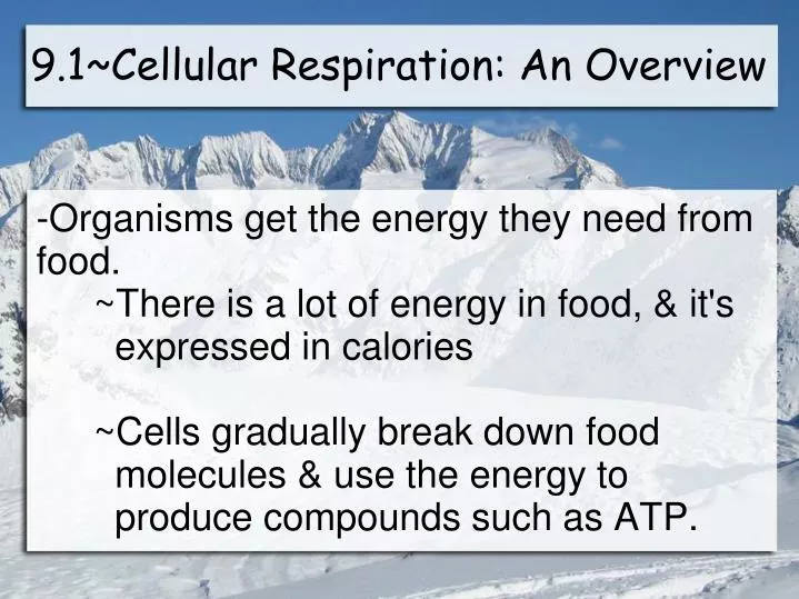9 1 cellular respiration an overview