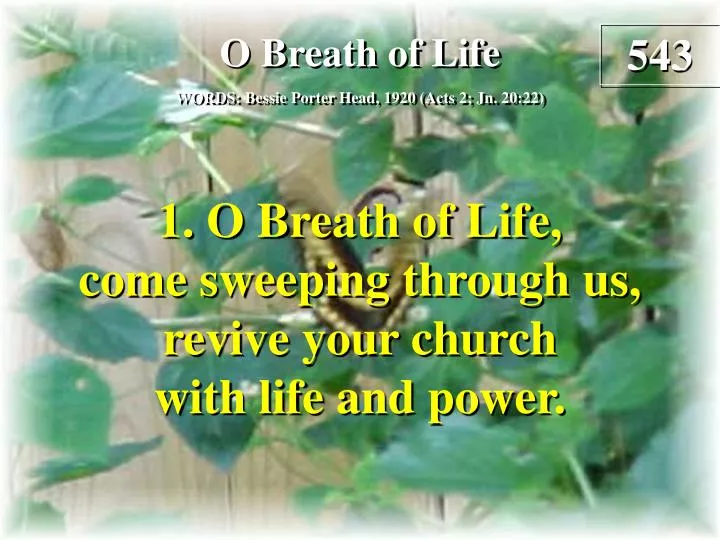 o breath of life verse 1